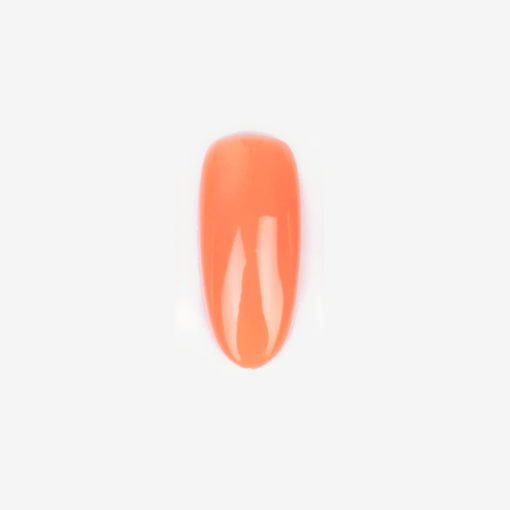 Gel Polish Blush Beauty 201 - Image 2